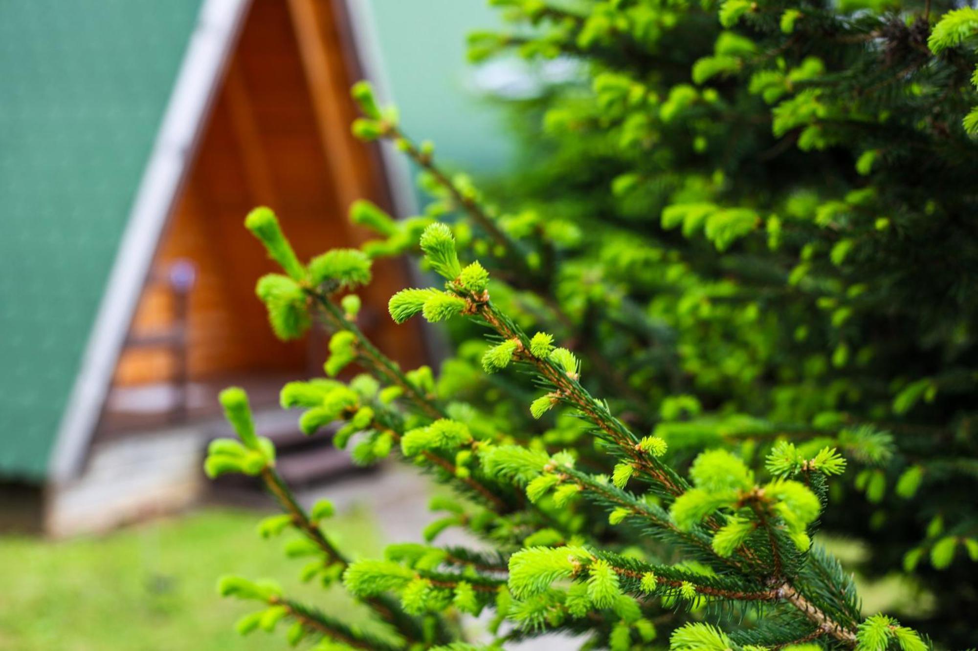 Rooms & Glamping Lana Haus Licko Petrovo Selo Exterior photo